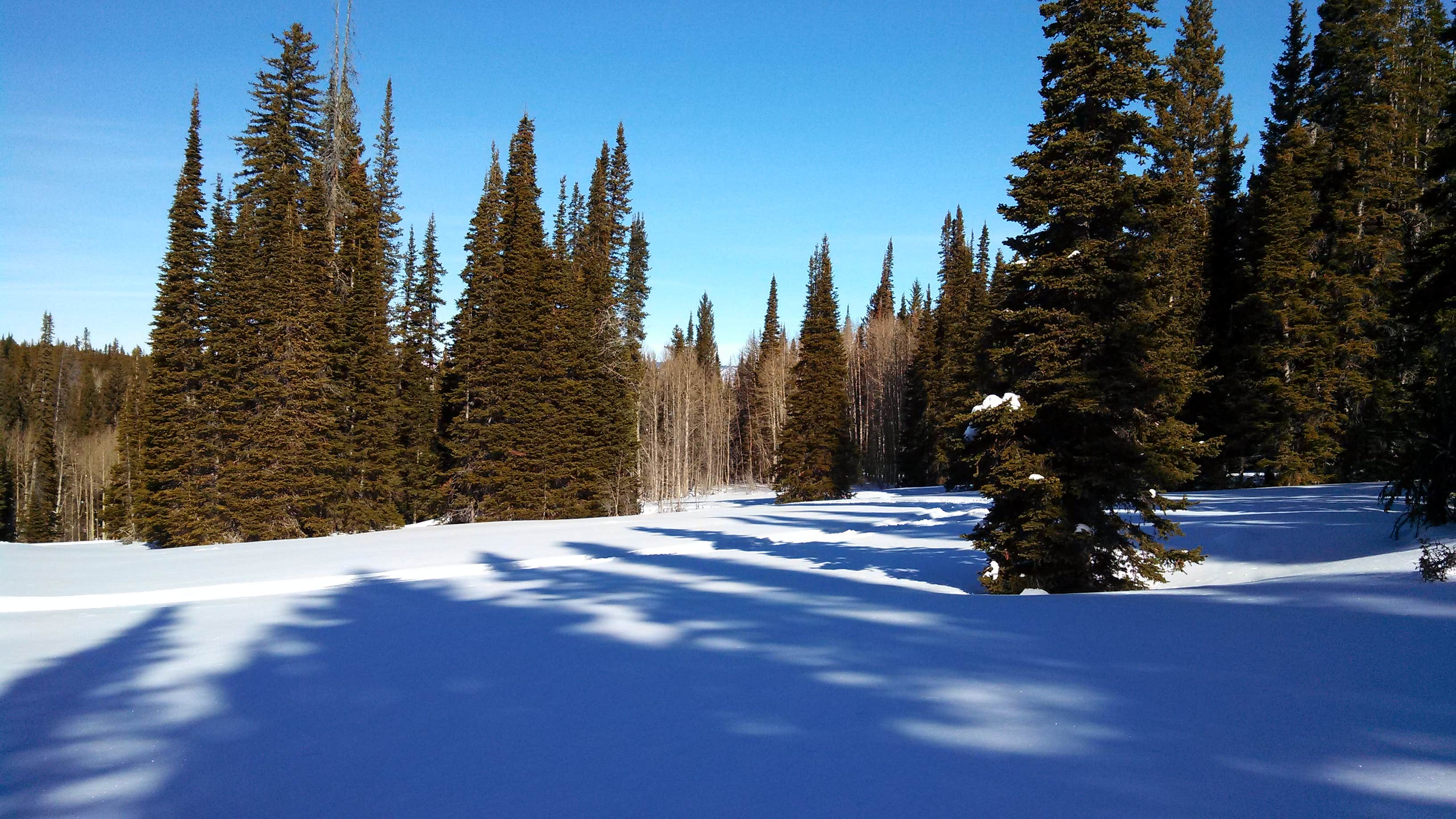 Camper submitted image from Bear Lake State Park Campground - 1