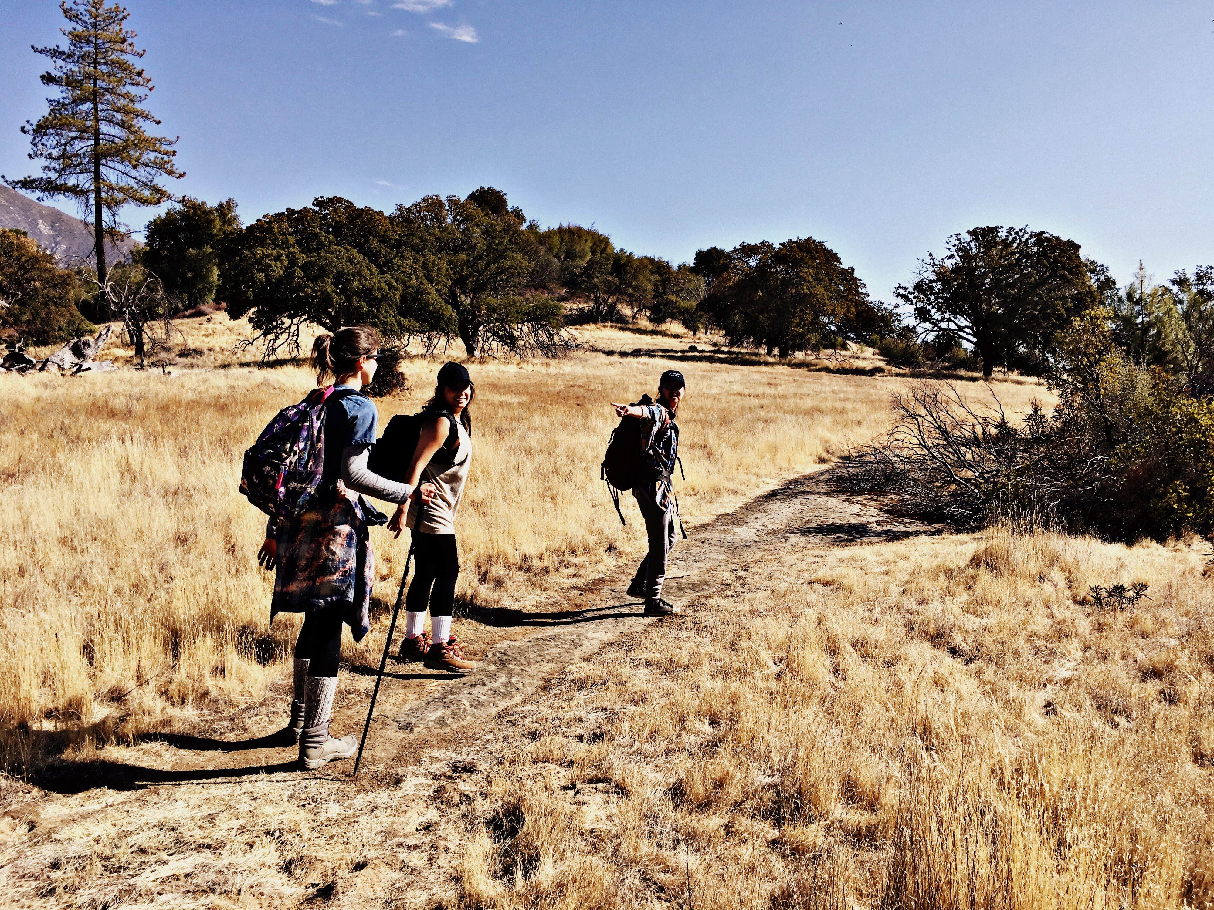 Camper submitted image from Memorial Campground - Los Padres National Forest - 5