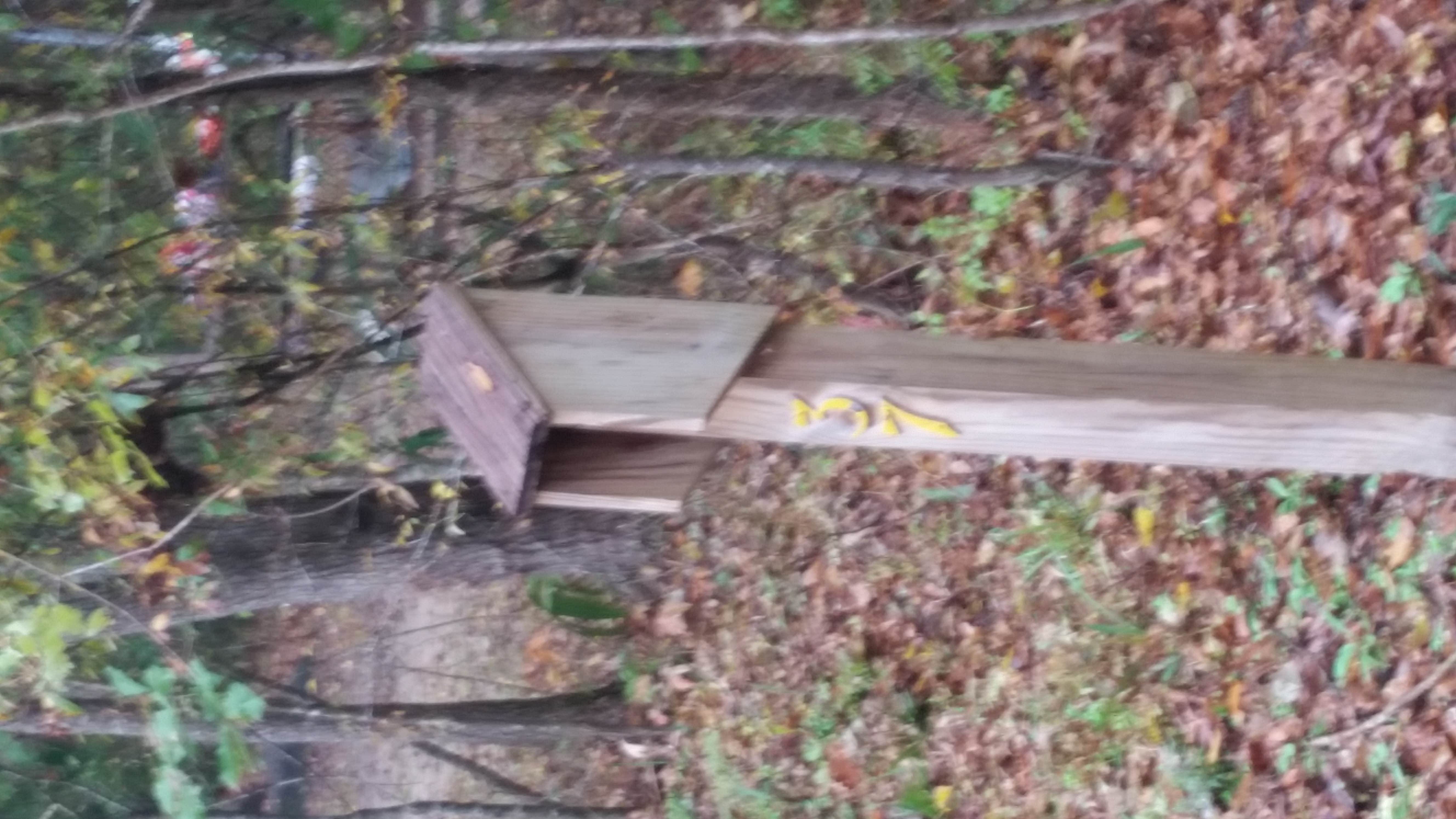 Tickfaw State Park Campground