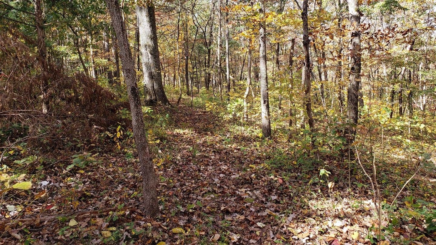 Camper submitted image from Pulltite Campground — Ozark National Scenic Riverway - 1