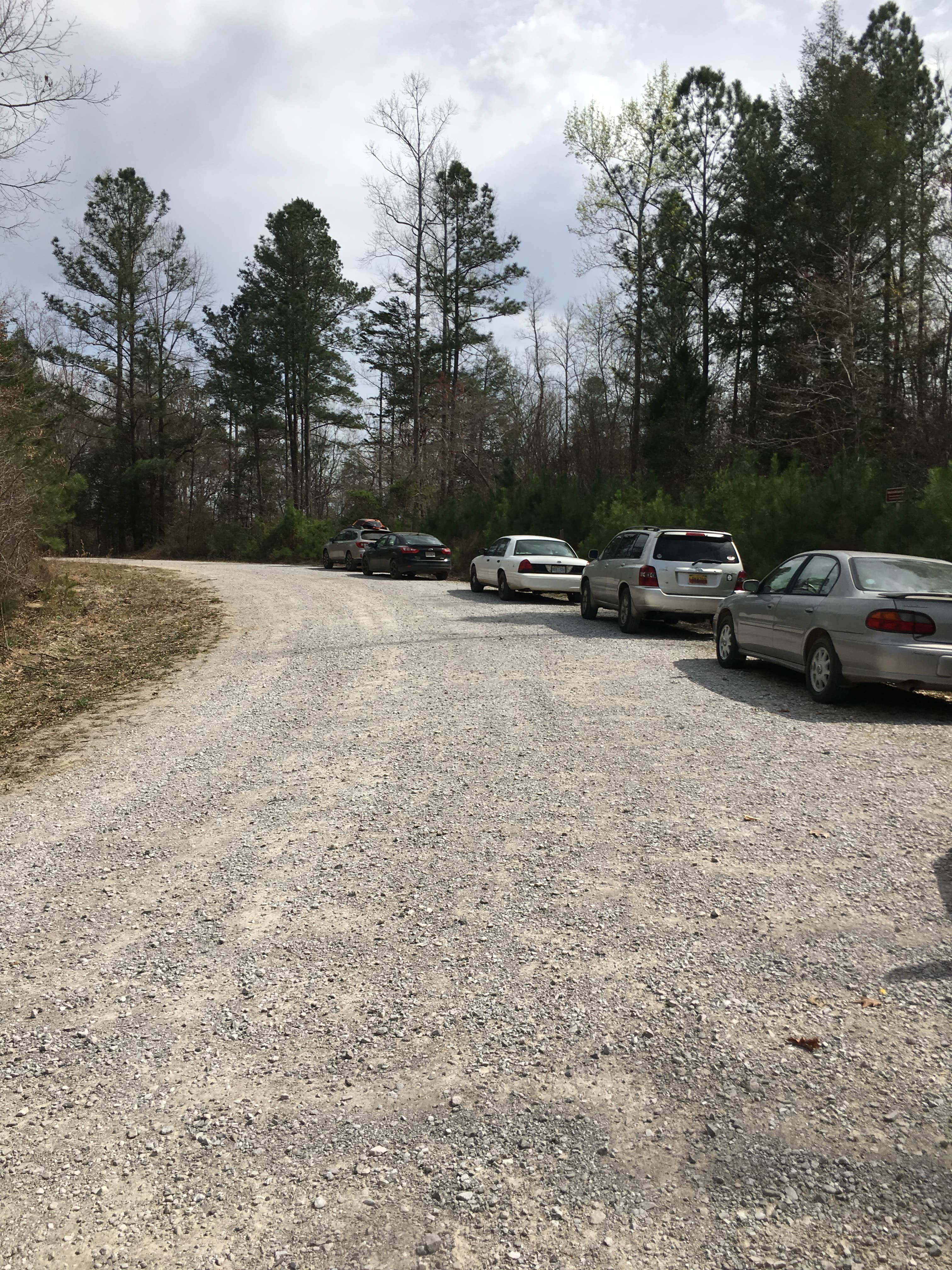 Camper-submitted photo at Sipsey Wilderness - Trail 200 Campsites near Warrior, AL