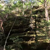 Review photo of Sipsey Wilderness - Trail 200 Campsites by Asher K., April 5, 2019