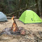 Review photo of Sipsey Wilderness - Trail 200 Campsites by Asher K., April 5, 2019