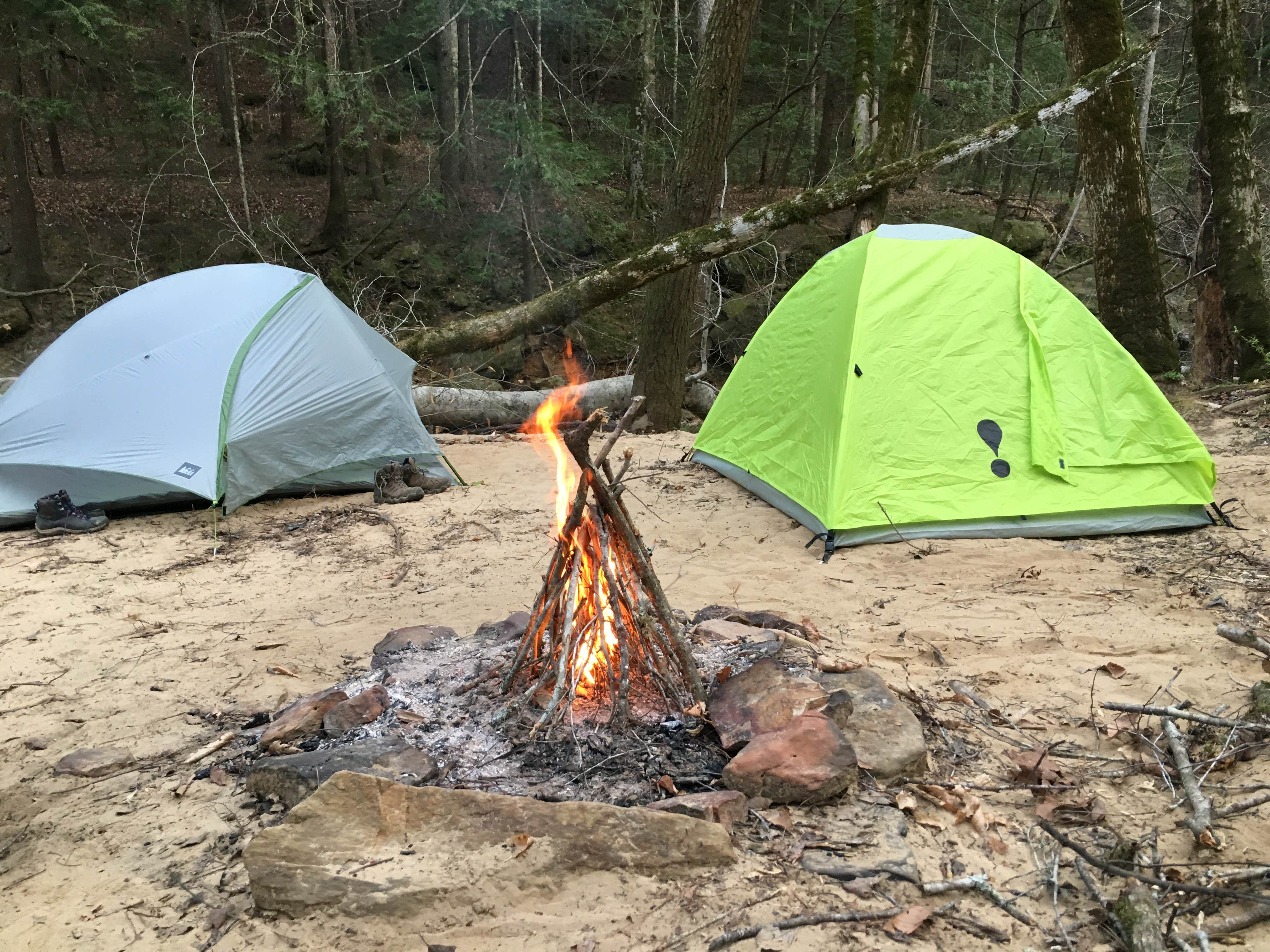 Camper submitted image from Sipsey Wilderness - Trail 200 Campsites - 2