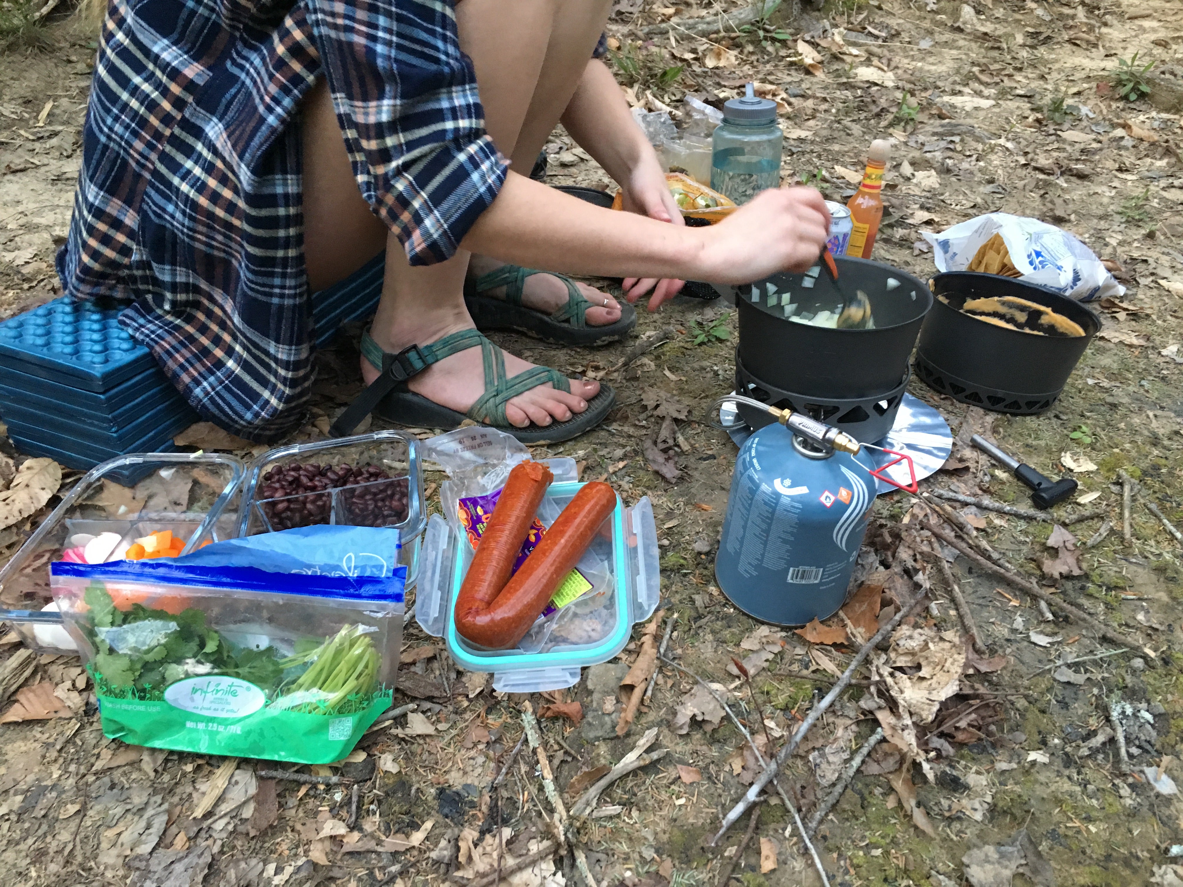 Camper submitted image from Sipsey Wilderness - Trail 200 Campsites - 4
