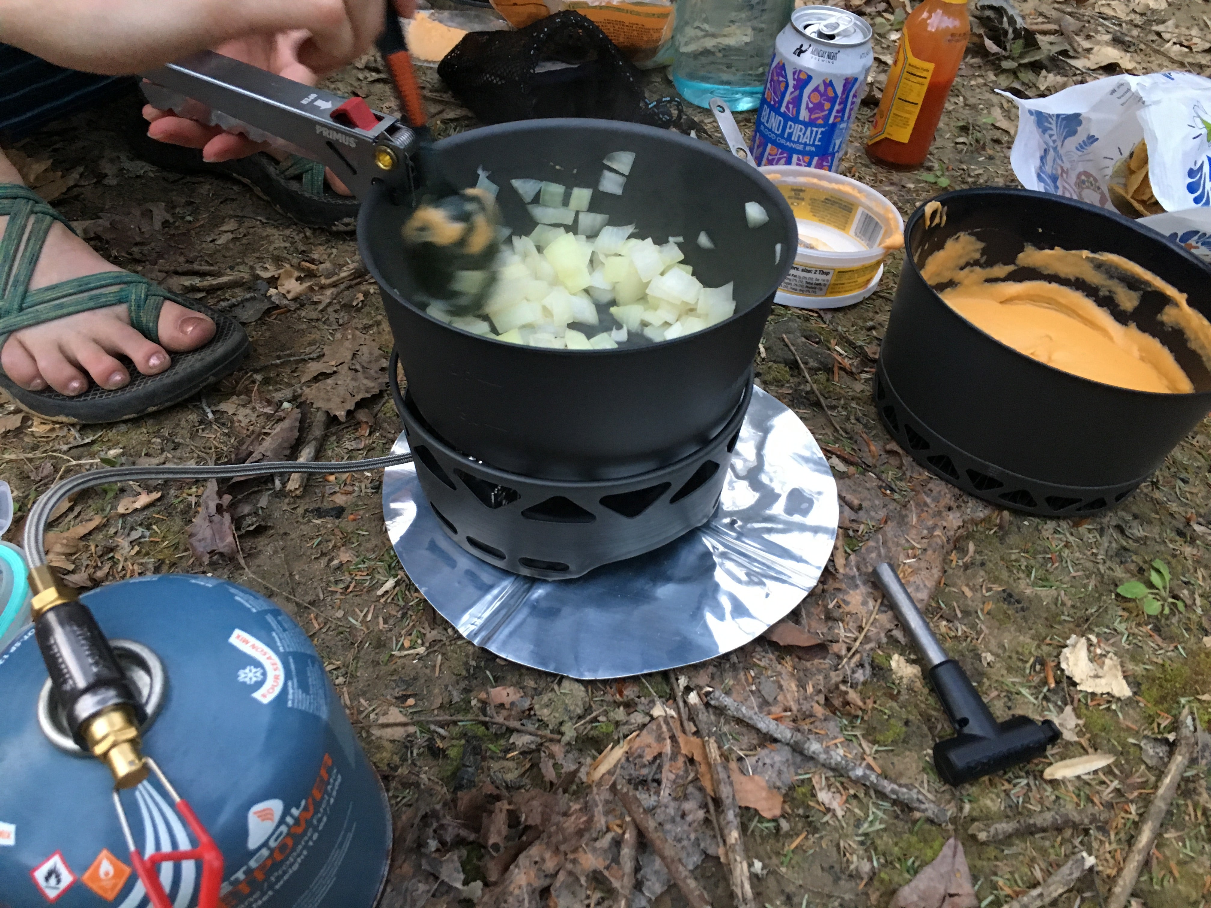 Camper submitted image from Sipsey Wilderness - Trail 200 Campsites - 3