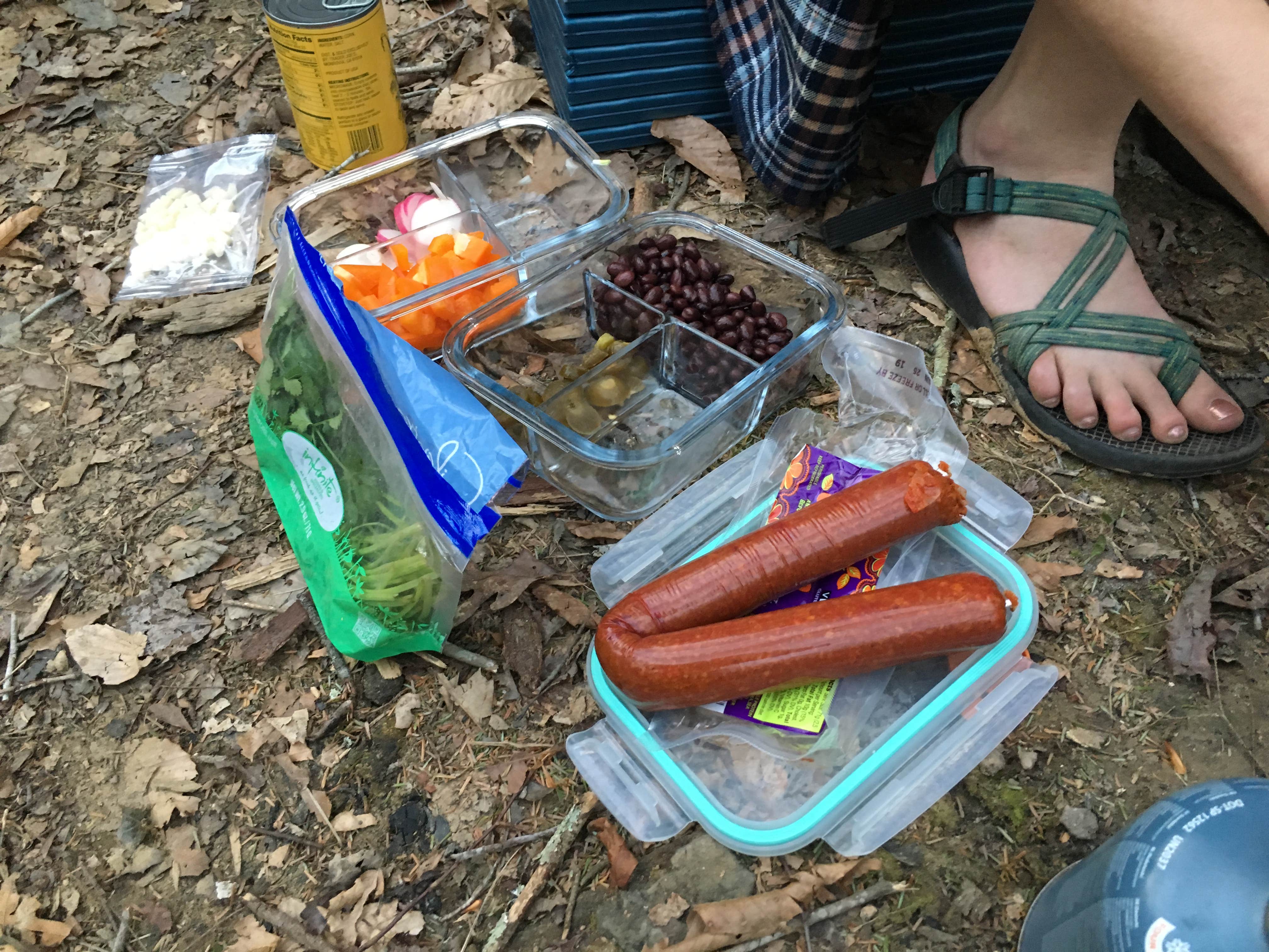 Camper-submitted photo at Sipsey Wilderness - Trail 200 Campsites near Warrior, AL