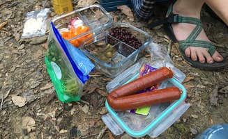 Asher K.'s photo of camping with pets at Sipsey Wilderness - Trail 200 Campsites near Decatur, AL