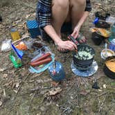 Review photo of Sipsey Wilderness - Trail 200 Campsites by Asher K., April 5, 2019