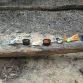 Review photo of Sipsey Wilderness - Trail 200 Campsites by Asher K., April 5, 2019