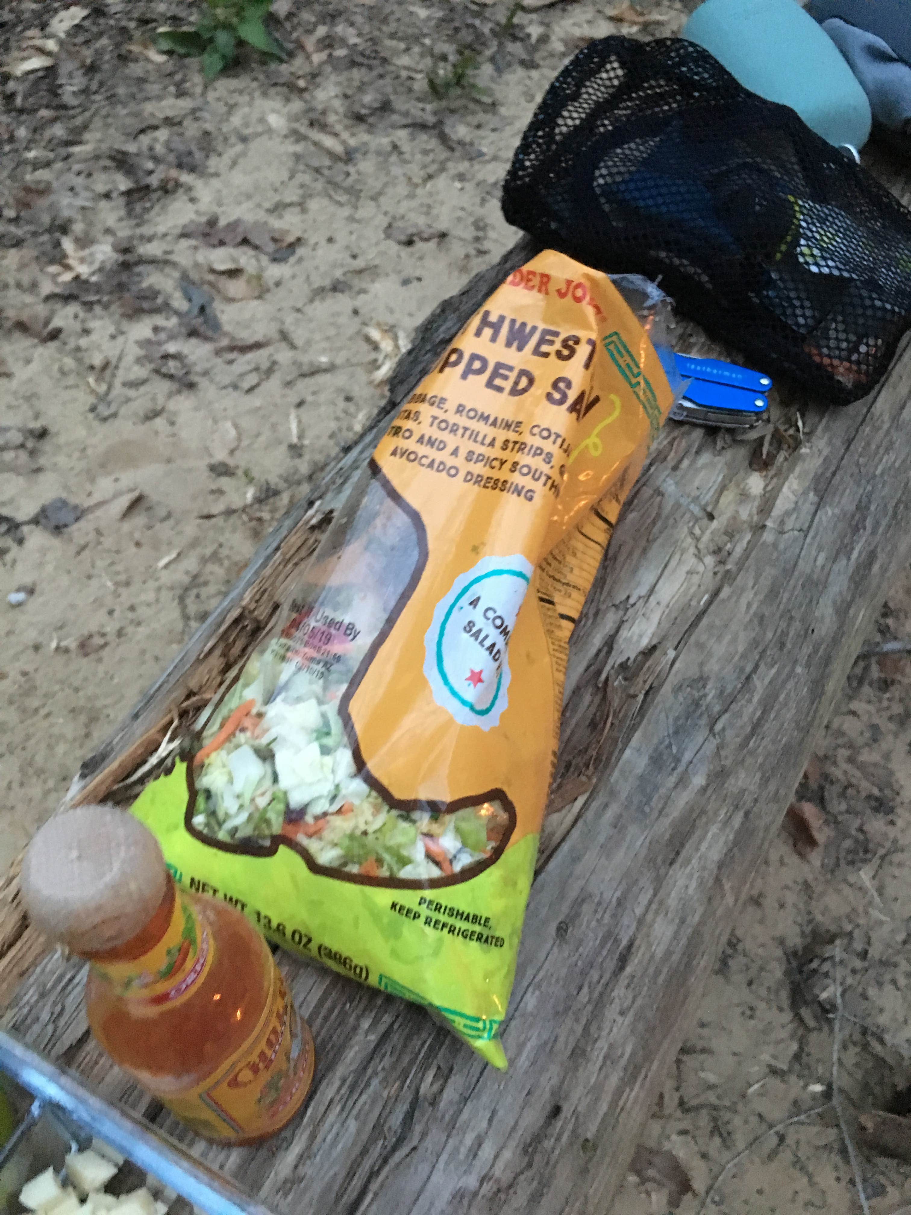 Camping near Sipsey Wilderness Backcountry Site (Trail 200 Site A): Sipsey Wilderness - Trail 200 Campsites, Bankhead National Forest, Alabama