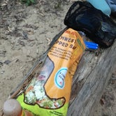 Review photo of Sipsey Wilderness - Trail 200 Campsites by Asher K., April 5, 2019