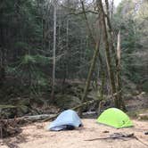 Review photo of Sipsey Wilderness - Trail 200 Campsites by Asher K., April 5, 2019