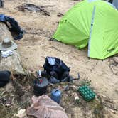 Review photo of Sipsey Wilderness - Trail 200 Campsites by Asher K., April 5, 2019