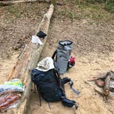 Review photo of Sipsey Wilderness - Trail 200 Campsites by Asher K., April 5, 2019