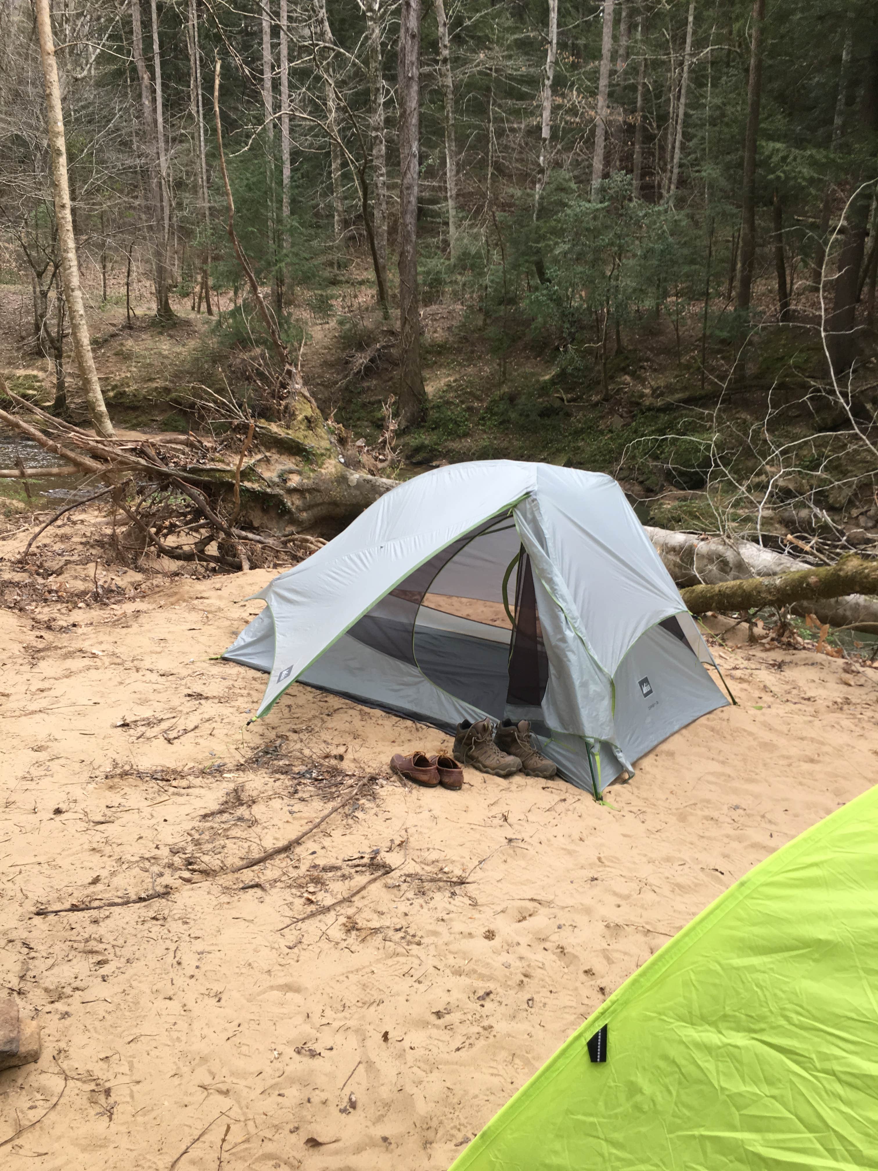 Asher K.'s photo of tent camping at Sipsey Wilderness - Trail 200 Campsites near Addison, AL