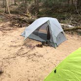 Review photo of Sipsey Wilderness - Trail 200 Campsites by Asher K., April 5, 2019