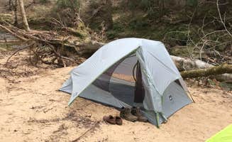 Asher K.'s photo of tent camping at Sipsey Wilderness - Trail 200 Campsites near Addison, AL