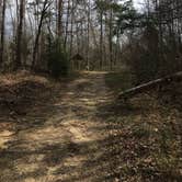 Review photo of Sipsey Wilderness - Trail 200 Campsites by Asher K., April 5, 2019