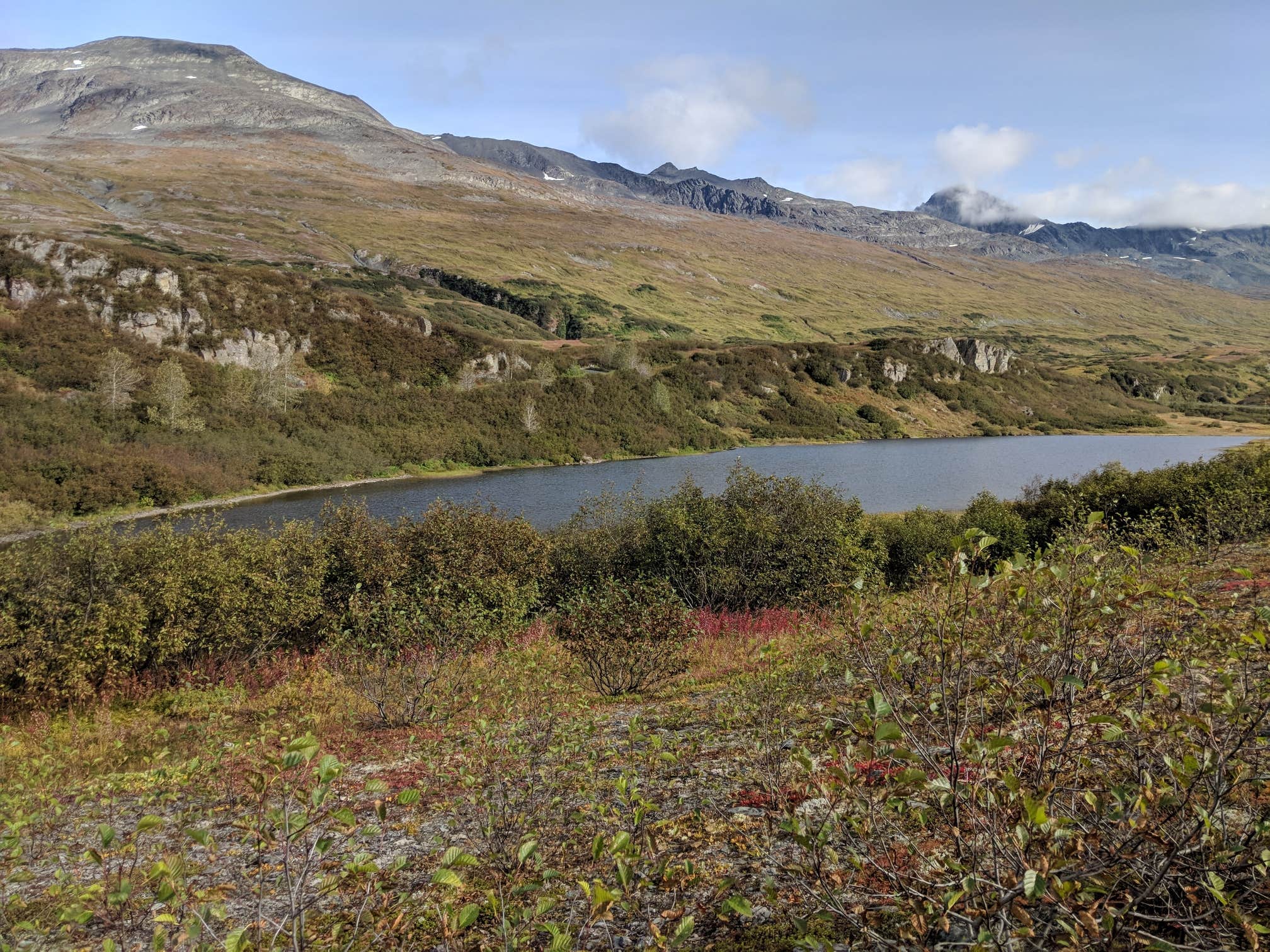 Camper-submitted photo at Blueberry Lake State Recreation Site near Valdez, AK