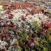 Review photo of Blueberry Lake State Recreation Site by Hannah W., April 5, 2019