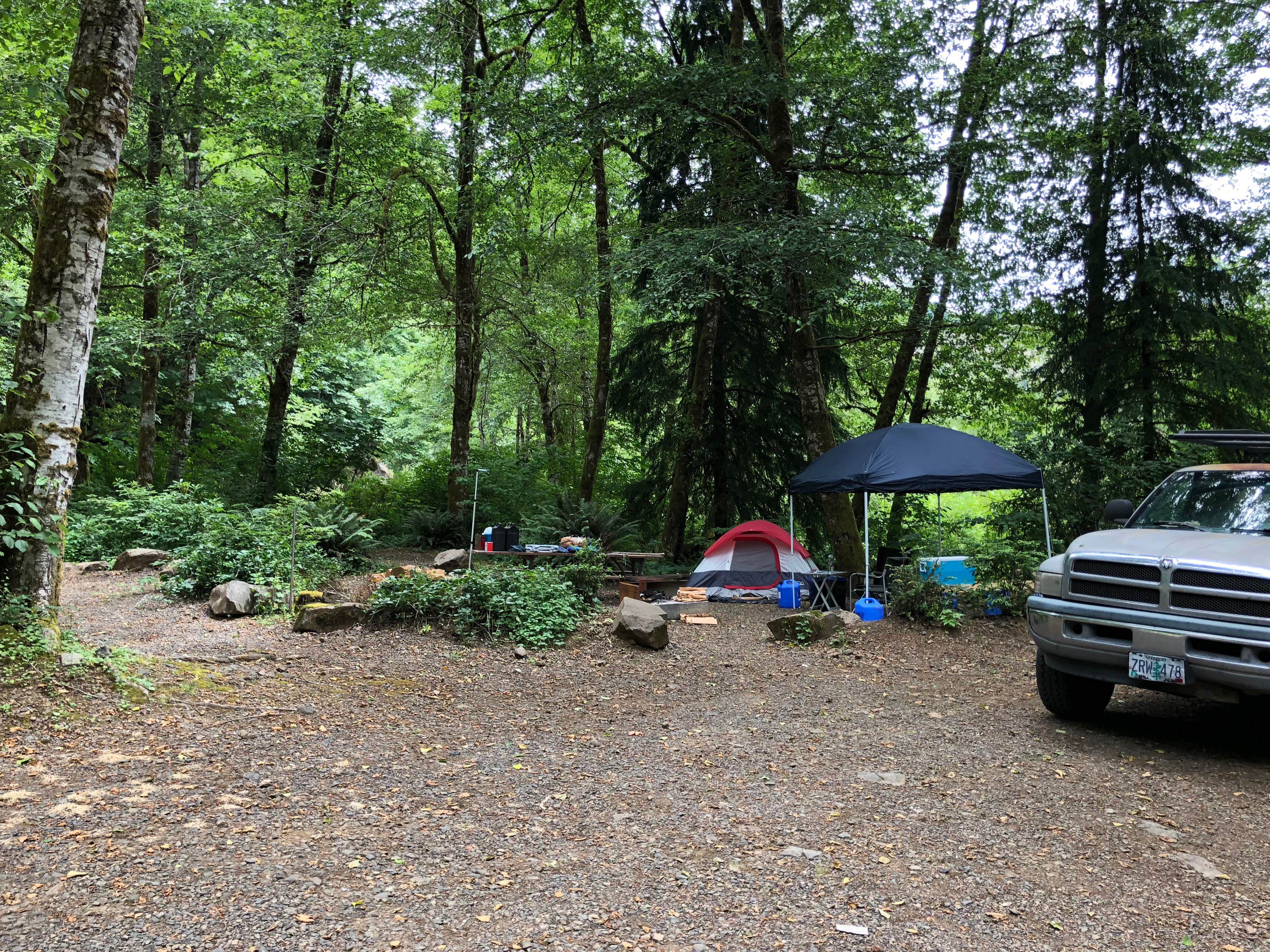 Corinna B.'s photo of tent camping at Beaver Eddy near Ilwaco, WA