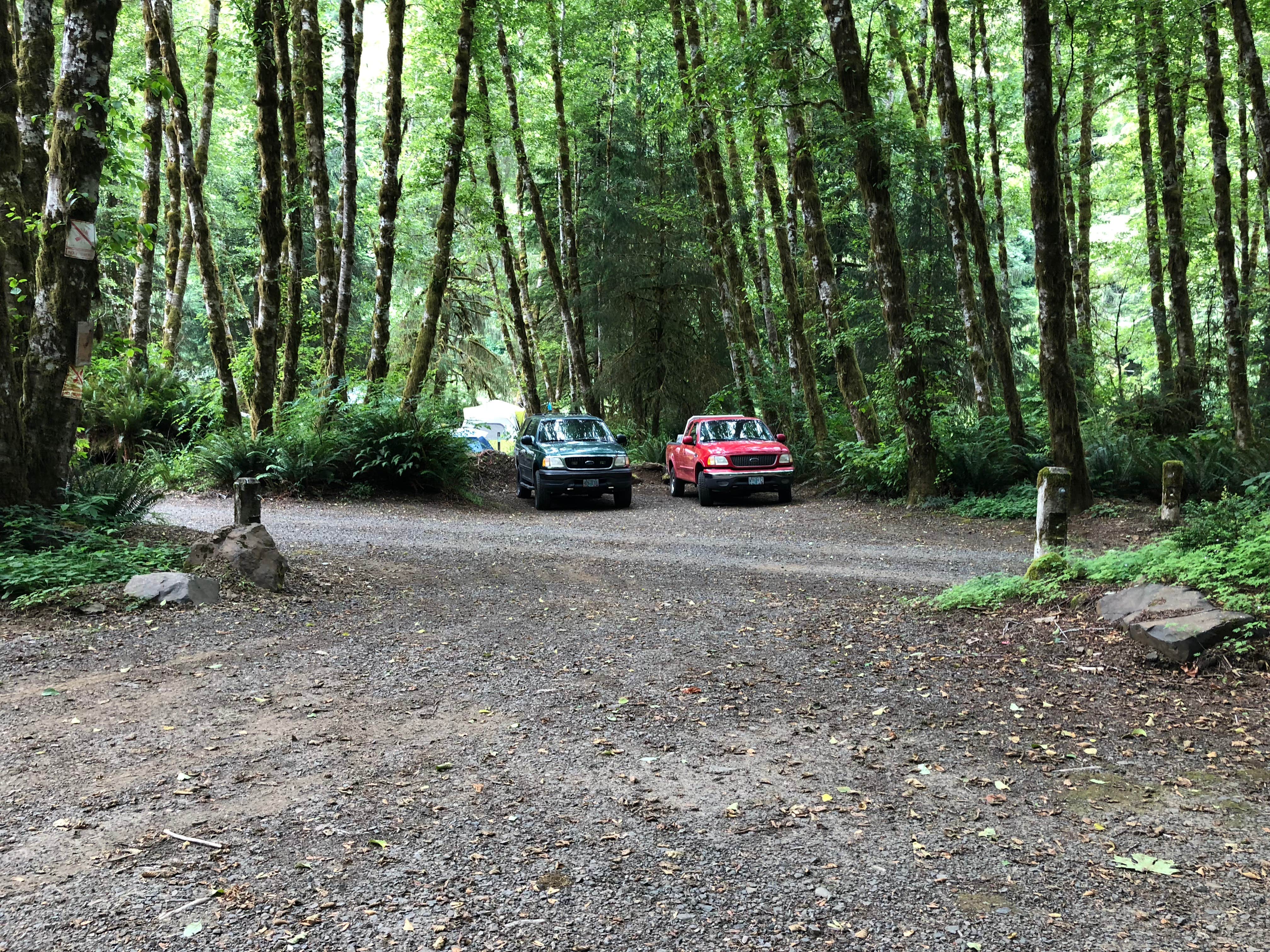 Camper-submitted photo at Beaver Eddy near Ilwaco, WA