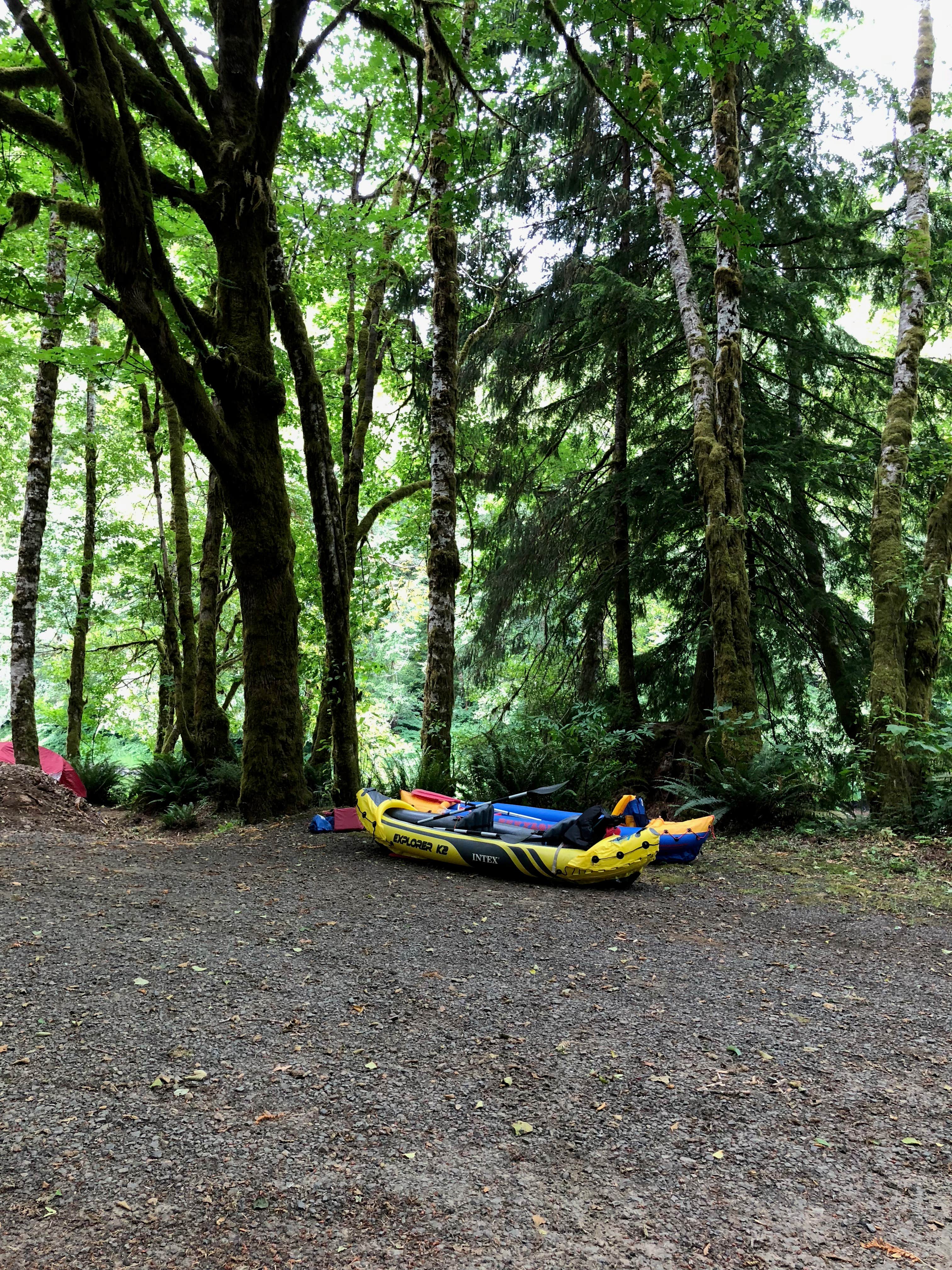 Camper-submitted photo at Beaver Eddy near Ilwaco, WA