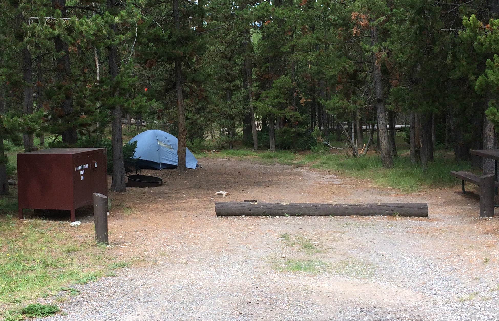 Corinna B.'s photo at Indian Creek Campground — Yellowstone National Park near Yellowstone National Park