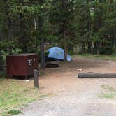 Review photo of Indian Creek Campground — Yellowstone National Park by Corinna B., August 1, 2018