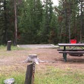 Review photo of Indian Creek Campground — Yellowstone National Park by Corinna B., August 1, 2018