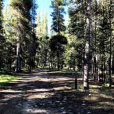 Review photo of Tuolumne Meadows Campground — Yosemite National Park by Corinna B., July 3, 2018