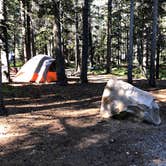 Review photo of Tuolumne Meadows Campground — Yosemite National Park by Corinna B., July 3, 2018