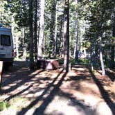 Review photo of Tuolumne Meadows Campground — Yosemite National Park by Corinna B., July 3, 2018