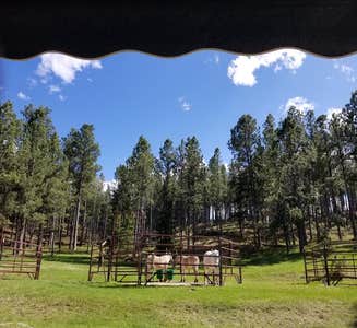 Camper-submitted photo from Iron Creek Horse Camp — Black Hills National Forest