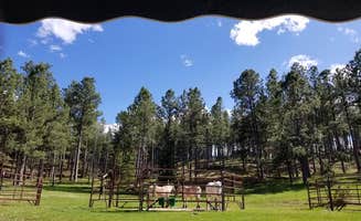 The Dyrt's photo of camping with a horse at Iron Creek Horse Camp — Black Hills National Forest near Rapid City, SD