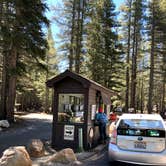 Review photo of Tuolumne Meadows Campground — Yosemite National Park by Corinna B., July 3, 2018