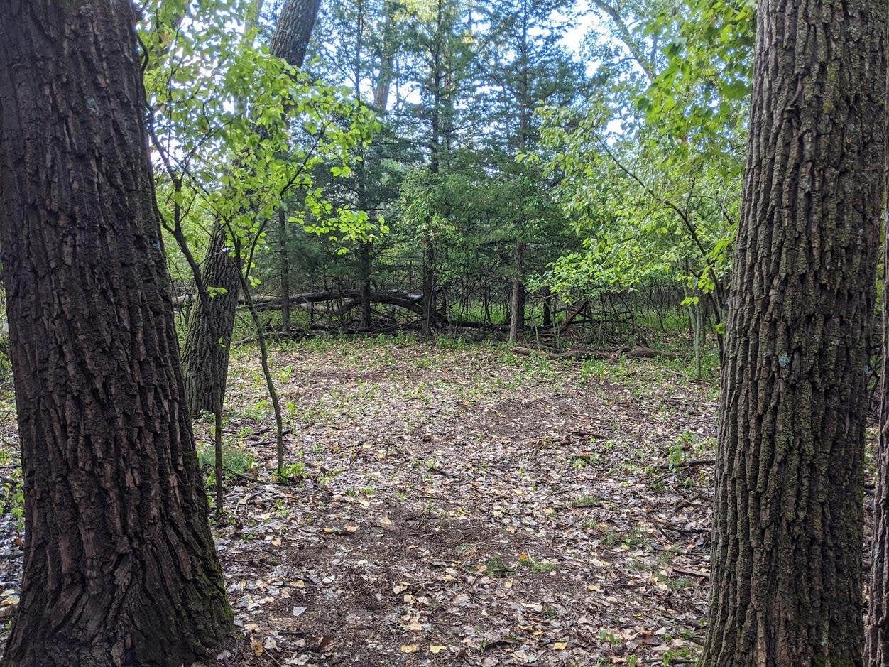Camper submitted image from Goat Island Primitive Camping — Missouri National Recreation River - 2