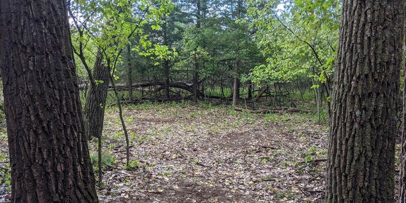 Camper submitted image from Goat Island Primitive Camping — Missouri National Recreation River