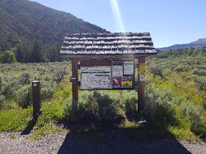 Camper submitted image from Clearwater Campground - 1
