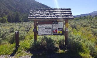 Camping near Big Game Campground: Clearwater Campground, Wapiti, Wyoming