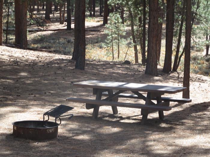 Camper submitted image from Plumas National Forest Grizzly Campground - 2