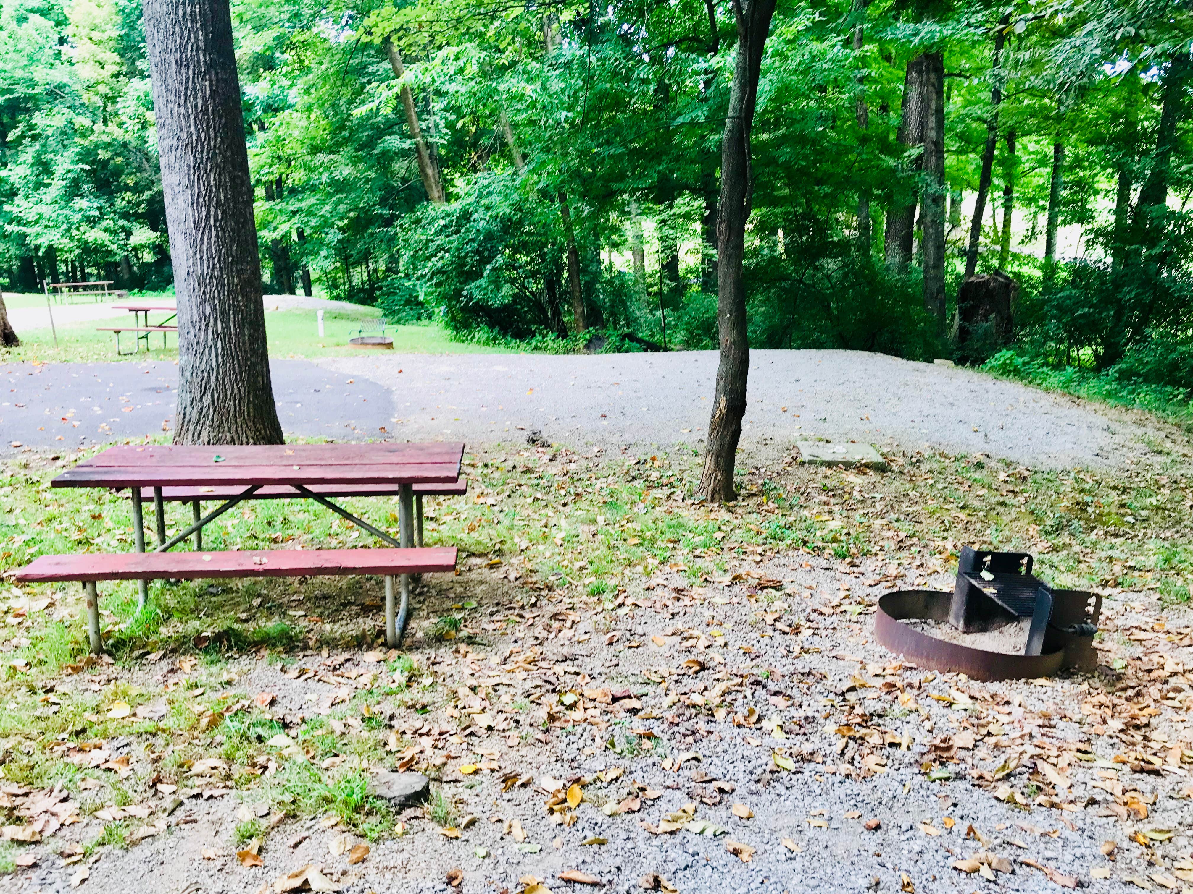 Camper submitted image from My Old Kentucky Home State Park Campground - 4