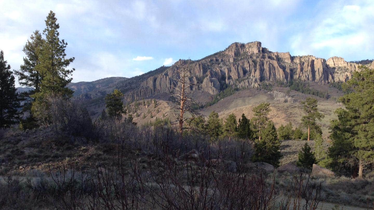 Camper submitted image from Ponderosa - Curecanti National Recreation Area - 1