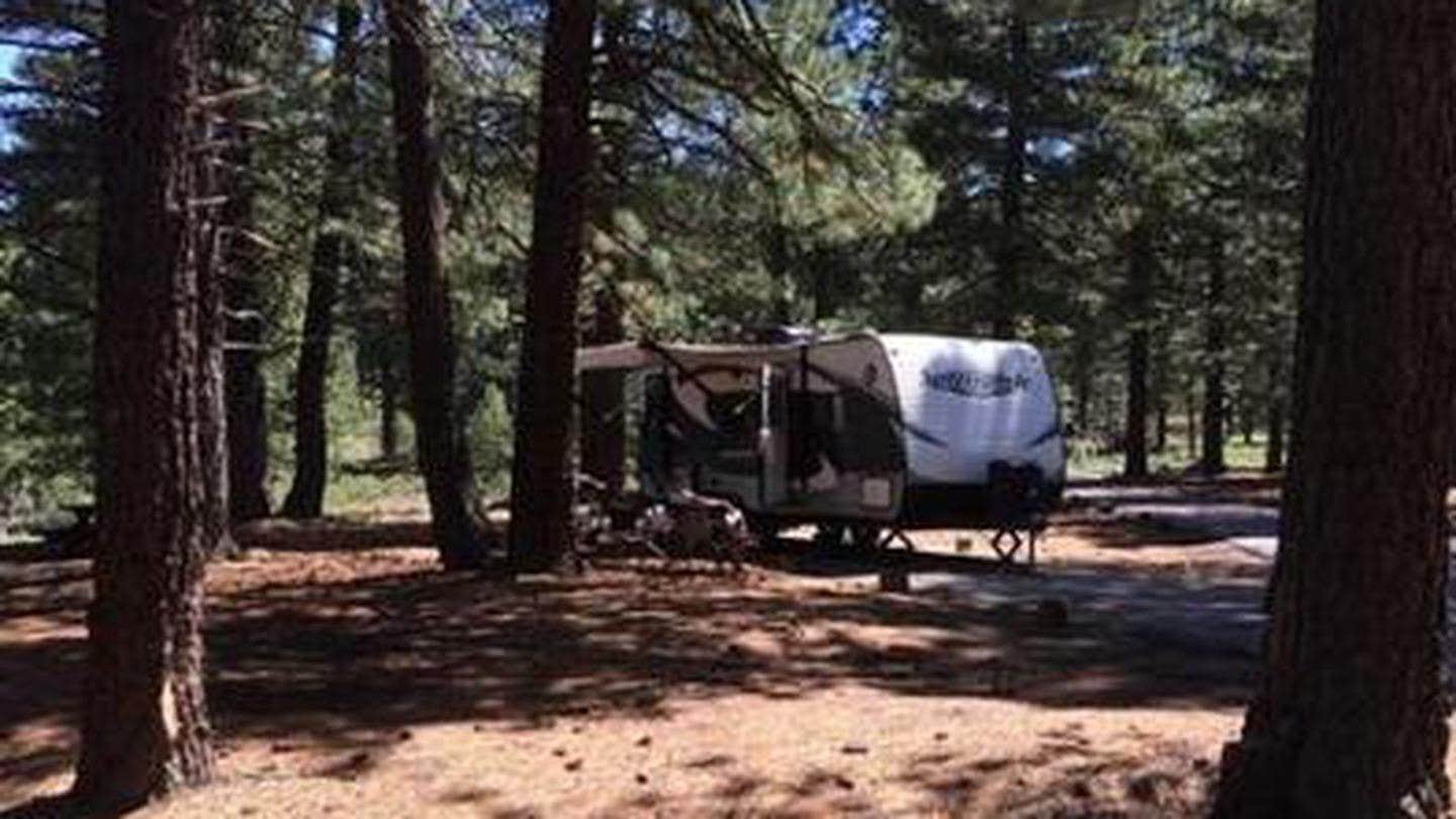 Camper submitted image from Plumas National Forest Grizzly Campground - 1