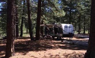 Camping near Conklin Park Campgrounds: Plumas National Forest Grizzly Campground, Portola, California
