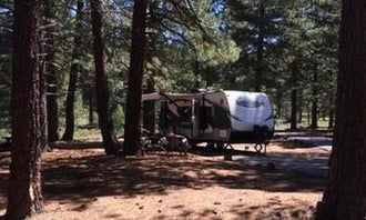 Camping near Grasshopper Flat: Plumas National Forest Grizzly Campground, Portola, California