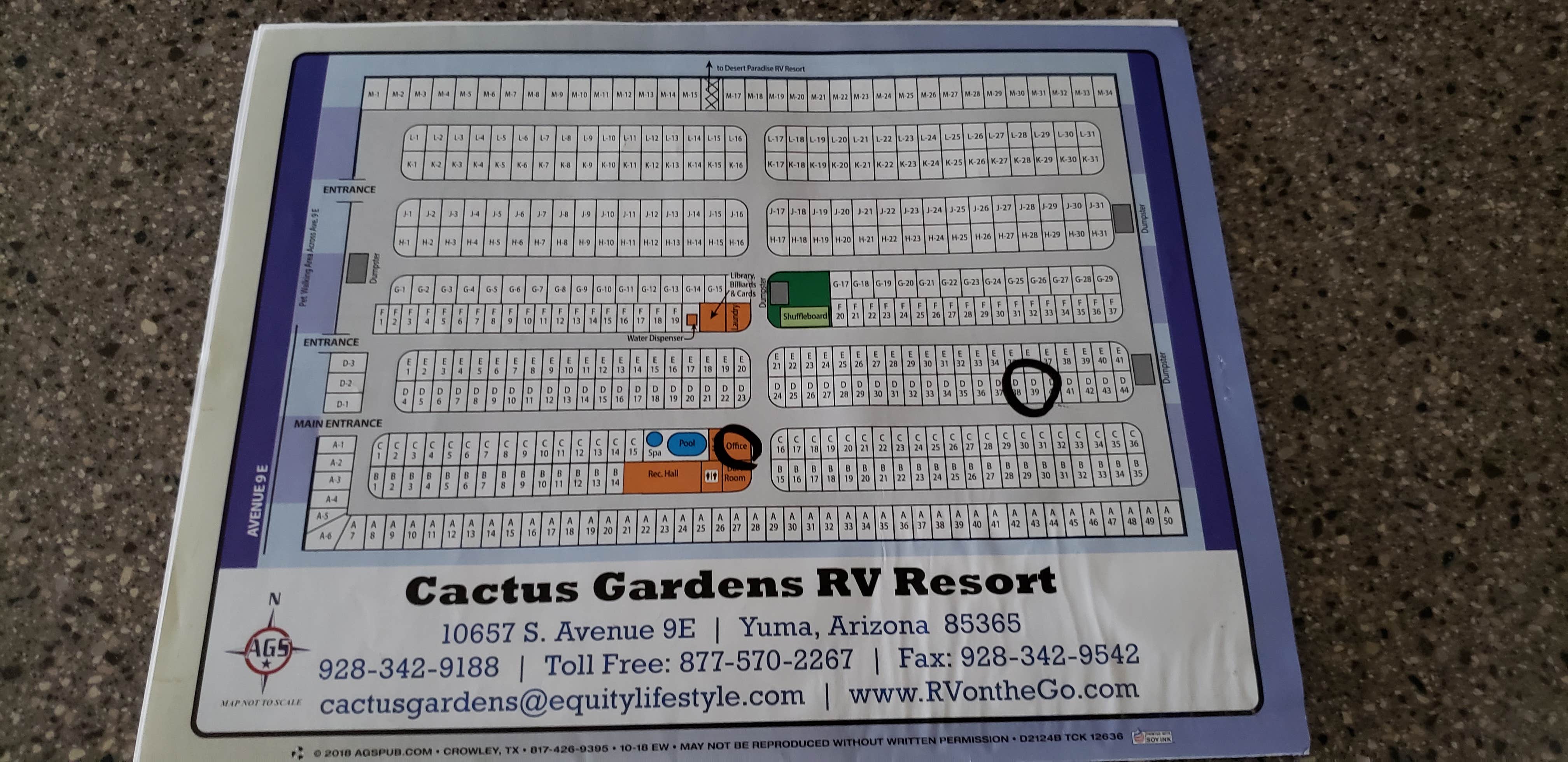 Camper submitted image from Encore Cactus Gardens - 5