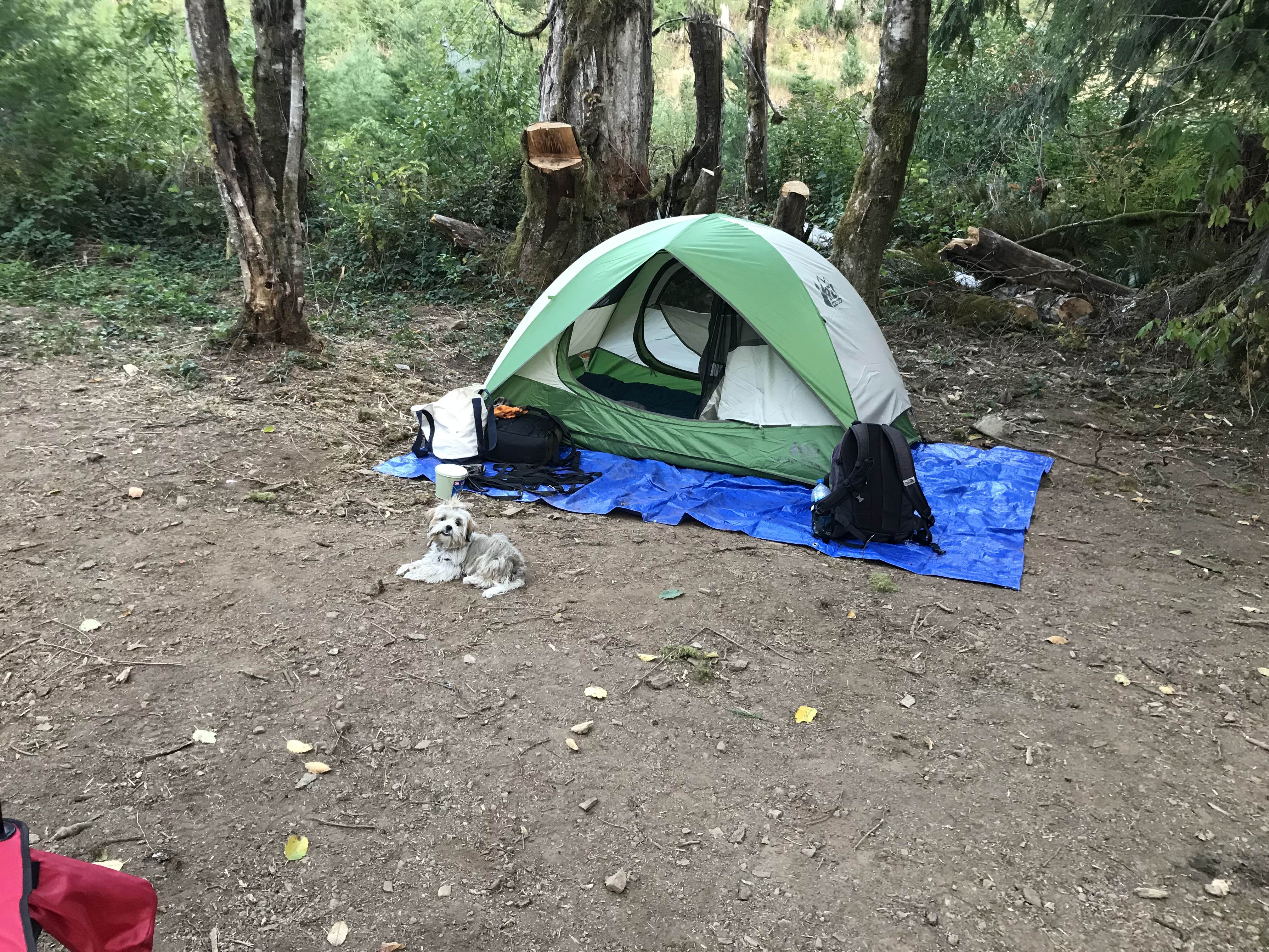 Camper submitted image from Naked Falls - 3