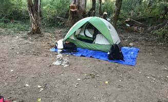 Tzvi Y.'s photo of tent camping at Naked Falls near Columbia River Gorge National Scenic Area